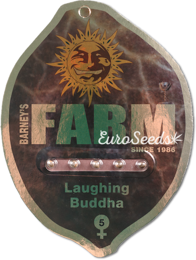   Laughing Buddha